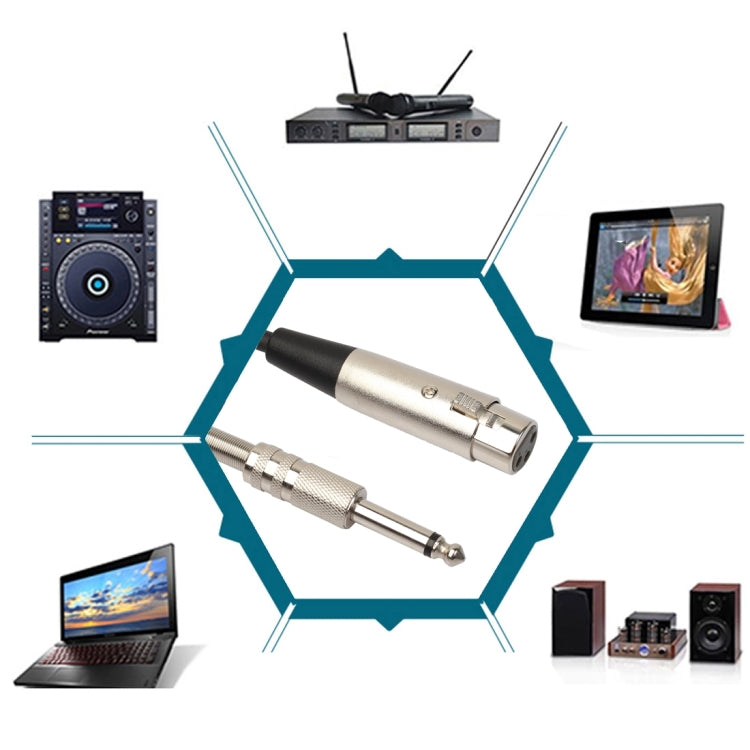 30cm XLR 3-Pin Female to 1/4 inch (6.35mm) Male Plug Stereo TRS Microphone Audio Cord Cable, BK2006KF Silver