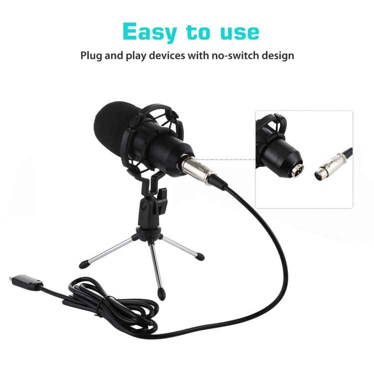 BM-700 USB Professional Condenser Microphone