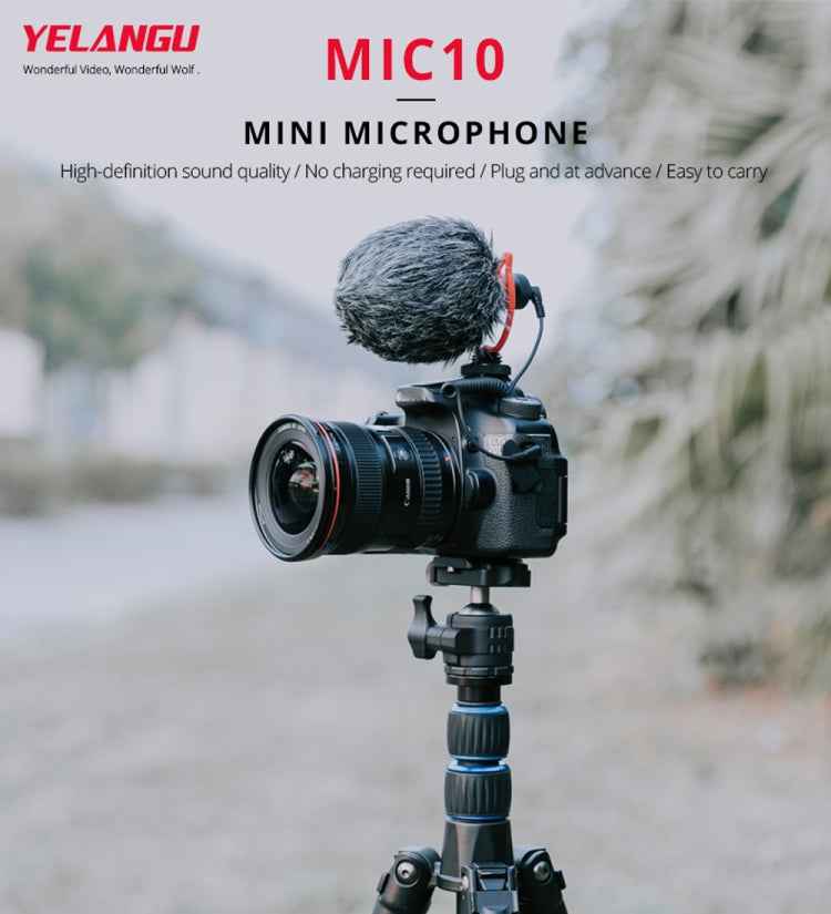 YELANGU MIC10 YLG9920A Professional Interview Condenser Video Shotgun Microphone with 3.5mm Audio Cable for DSLR & DV Camcorder