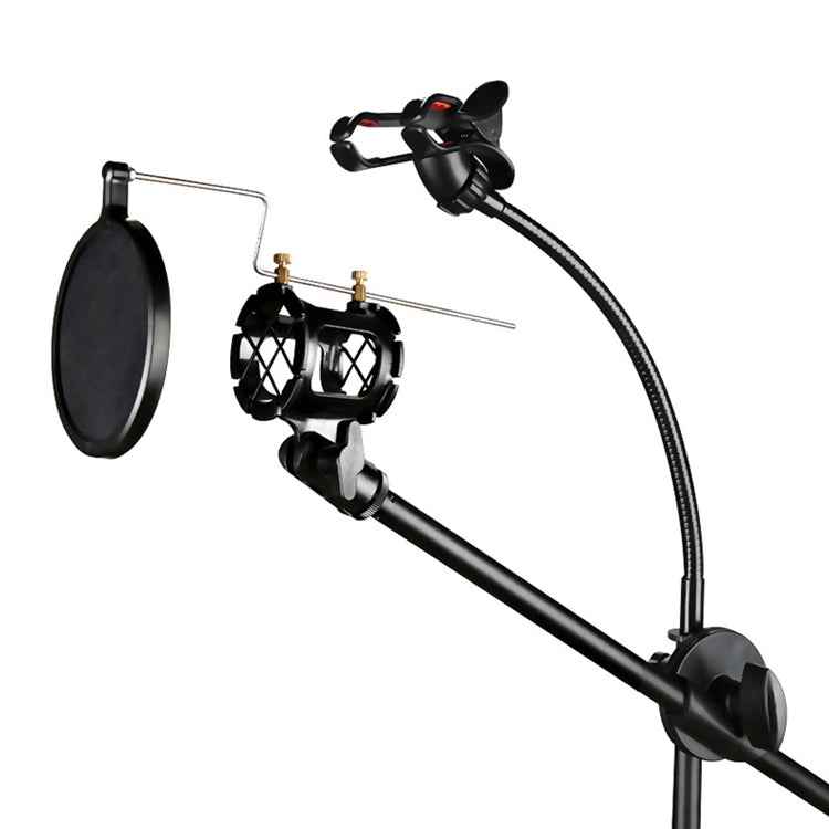 RODD NB-108 Karaoke Phone Microphone Tripod