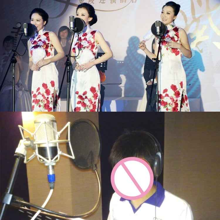 For Studio Recording, Live Broadcast, Live Show, KTV, etc