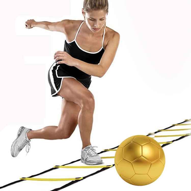 3 Meters 6 Knots Thin Section Pace Training Tough Durable Soft Ladder Football Training Wear Resistant Ladder Rope