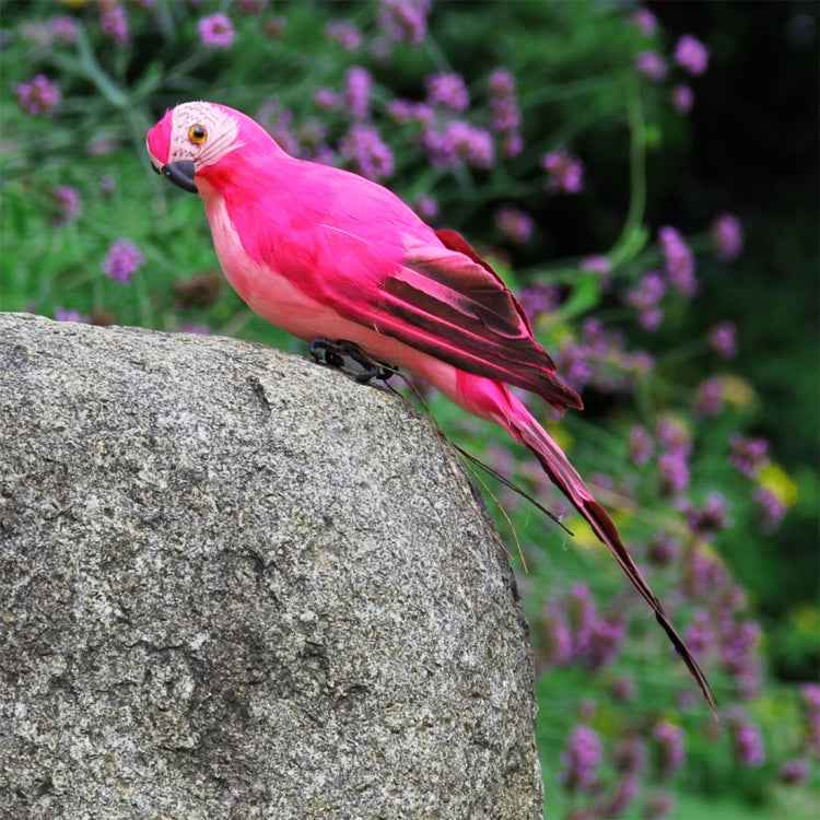 25cm Simulation Parrot Simulation Macaw Horticultural Decoration
