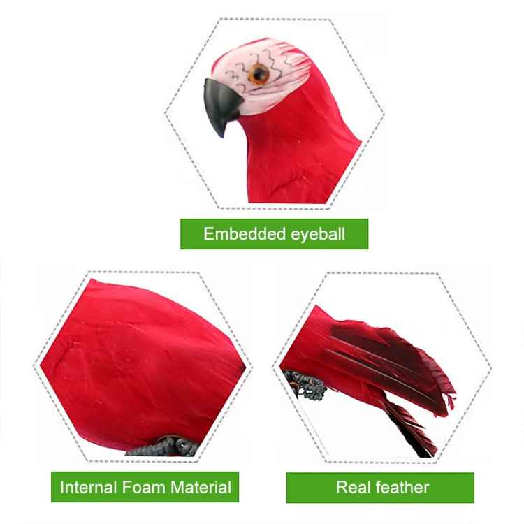 35cm Simulation Parrot Simulation Macaw Horticultural Decoration