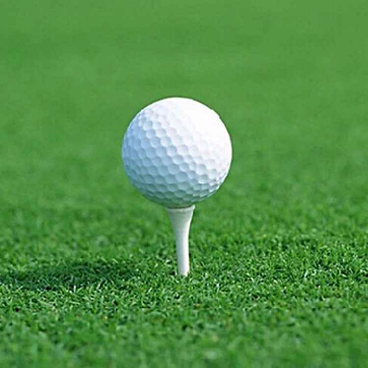 Synthetic Rubber Driving Range Golf Balls, Double Layer Blank Elastic Golf Balls