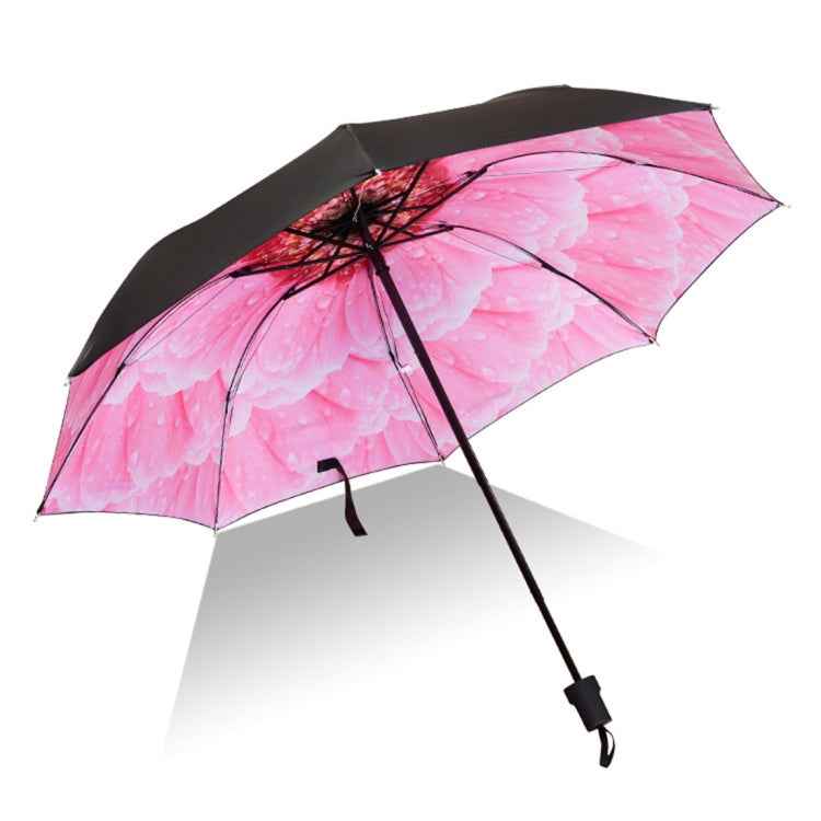 Black Waterproof Anti-UV