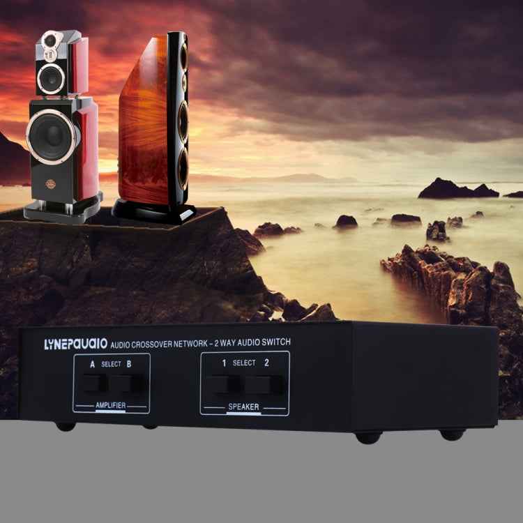 B822 Passive Speaker Switch 2 Channel Power Amplifier Audio Switch Loudspeaker,  2 Input and 2 Output