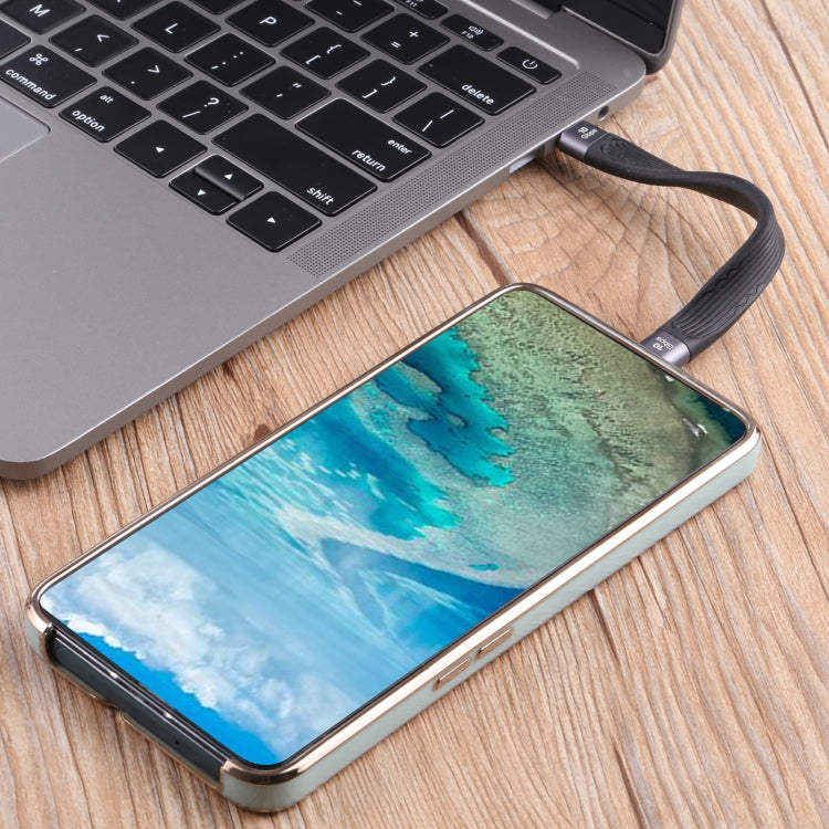 10Gbps Double USB-C / Type-C Soft Flat Data Transmission Fast Charging Cable