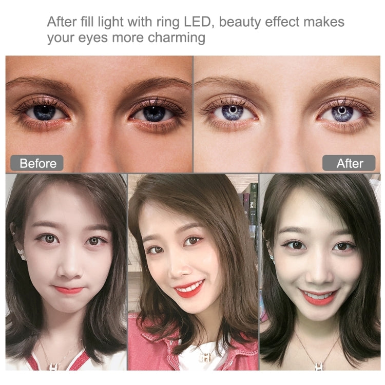 PULUZ 11.8 inch 30cm RGB Dimmable LED Dual Color Temperature LED Curved Diffuse Light Ring Vlogging Selfie Photography Video Lights with  Tripod Ball Head & Phone Clamp & Remote Control