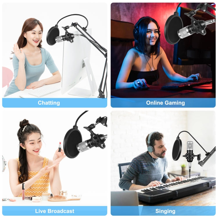 PULUZ Studio Broadcast Professional Singing Microphone Kits with Suspension Scissor Arm & Metal Shock Mount & USB Sound Card, Microphone Kits (Silver), Microphone Kits (Black)
