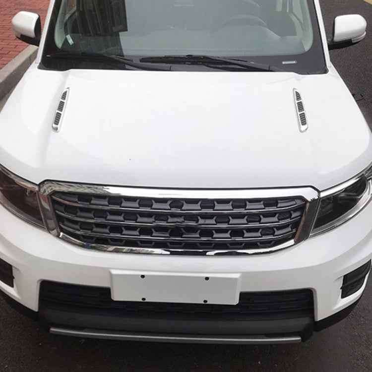 Car Decoration Stickers (Pair), Decoration Sticker