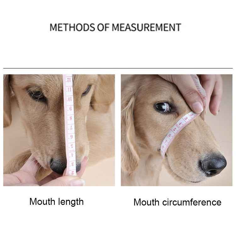Steel Cage Style Dog Basket Wire Muzzle Protective Snout Cover with Leather Strap, Size: M