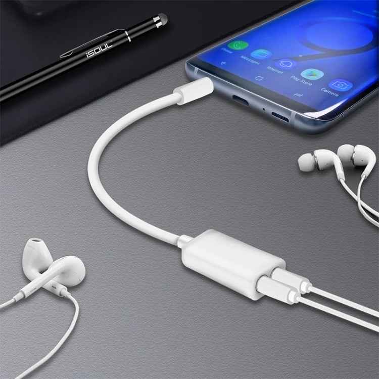 Aux Audio Cable 3.5mm to 2 x Female Splitter Adapter, Compatible with Phones, Tablets, Headphones, MP3 Player, Car/Home Stereo & More