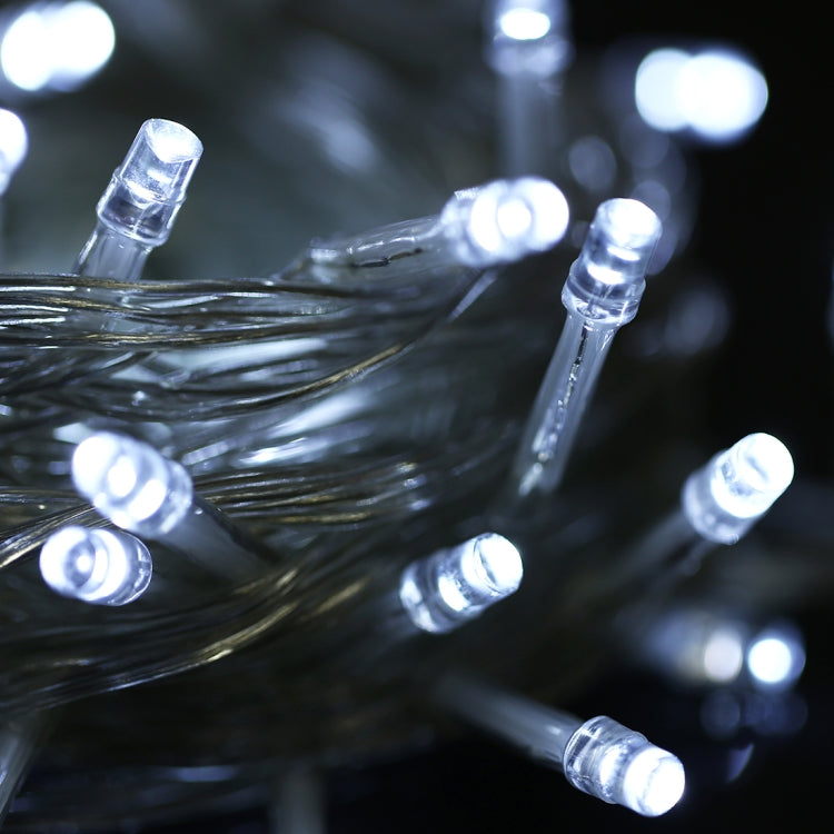 100 LED Light with Controller, Flashing / Fading / Chasing Effect, AC 220V, EU Plug