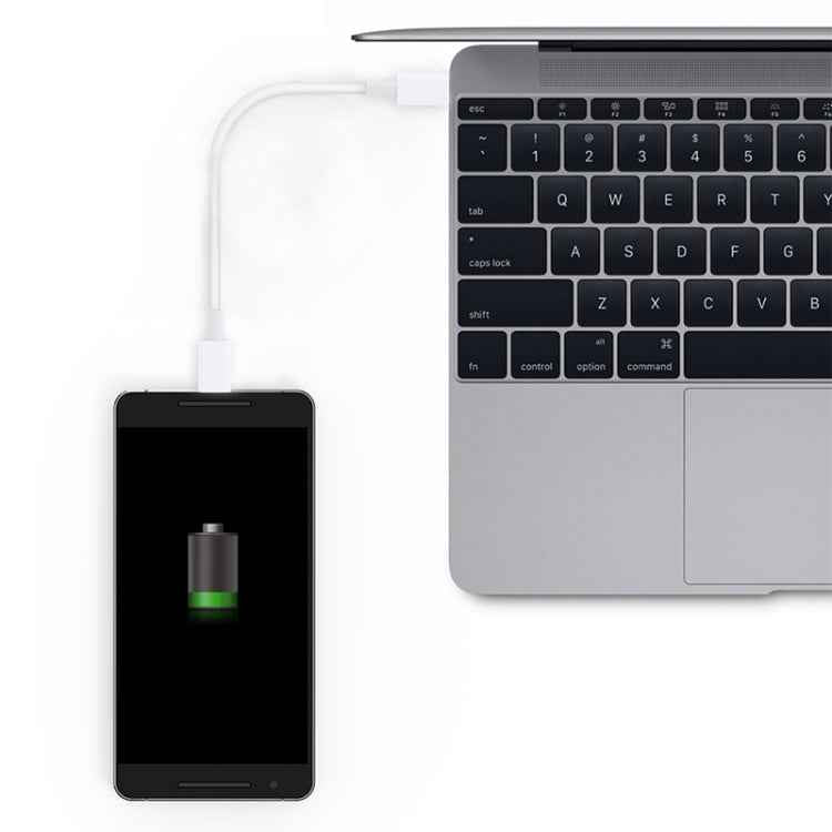 USB-C / Type-C to USB-C / Type-C PD Fast Charging & Sync Data Cable, Cable Length: 14cm