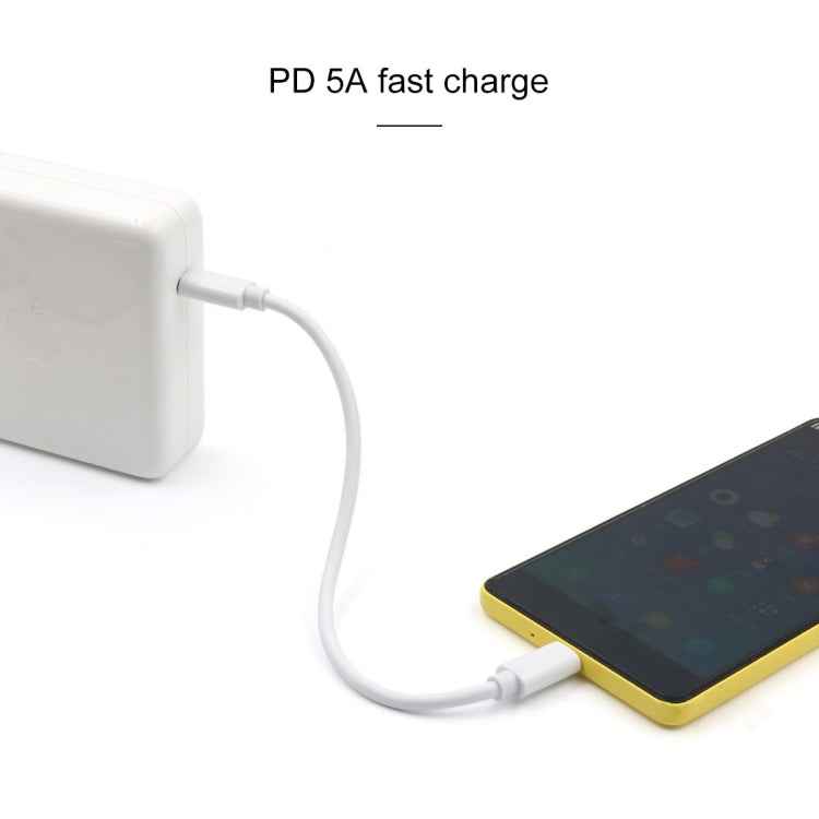 PD 5A USB-C / Type-C Male to USB-C / Type-C Male Fast Charging Cable, Cable Length: 2m