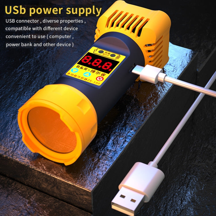 B&R ZS-100 2 in 1 UV Curing Lamp + Fan Cooler Repair Tool, ZS-100