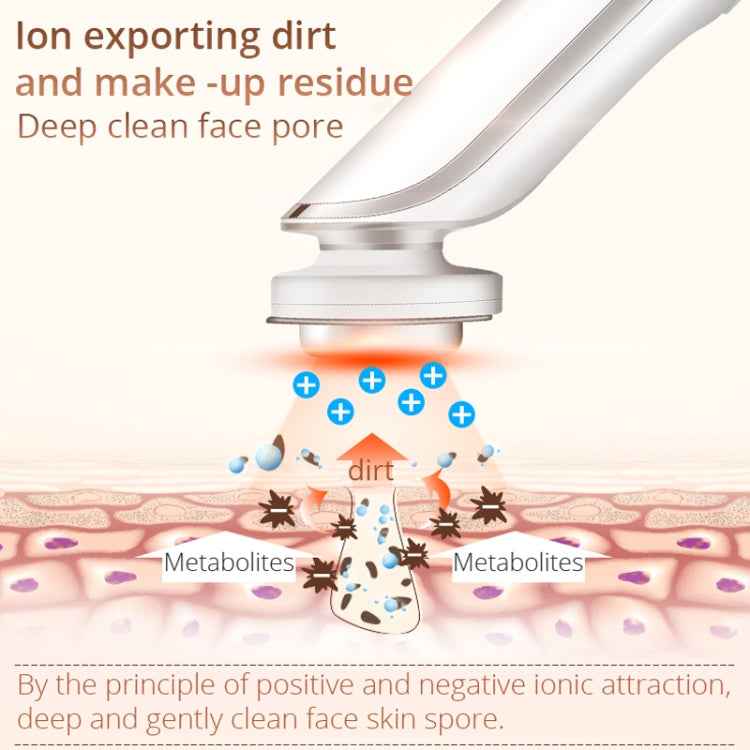 KD9960 Ion Beauty Introduction Instrument Face Cleansing Massager Skin Rejuvenation Thermostat Deep Clean Acne Therapy
