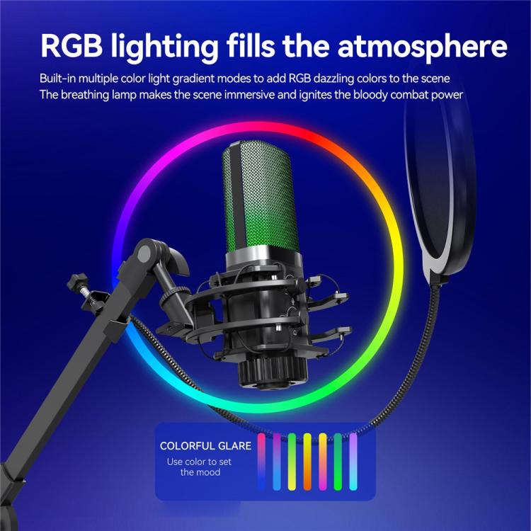 YANMAI X3R For Live Streaming / Recording RGB Lighting Desktop Noise Reduction Capacitor Microphone