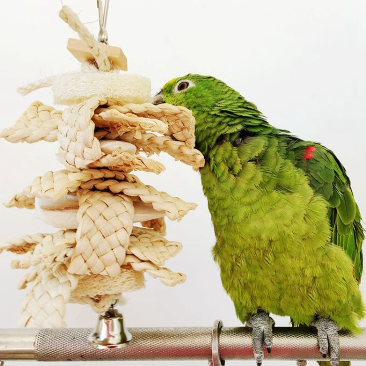 Parrot Squid Cuttlefish Bone Loofah Cornflake Bite Toy