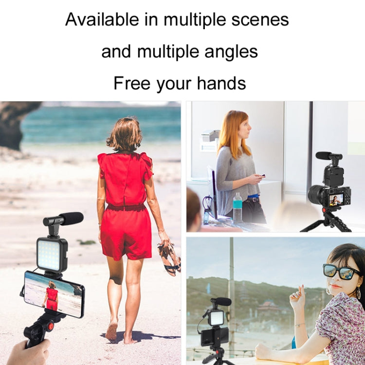 KIT-01LM 3 in 1 Video Shooting LED Light Portable Tripod Live Microphone, Battery Models, USB Charging Model