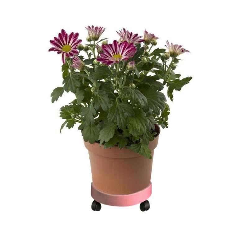 Universal Round Wheels Pot Tray Easy Moving Plant Pot Tray Garden Plate Plastic Stand