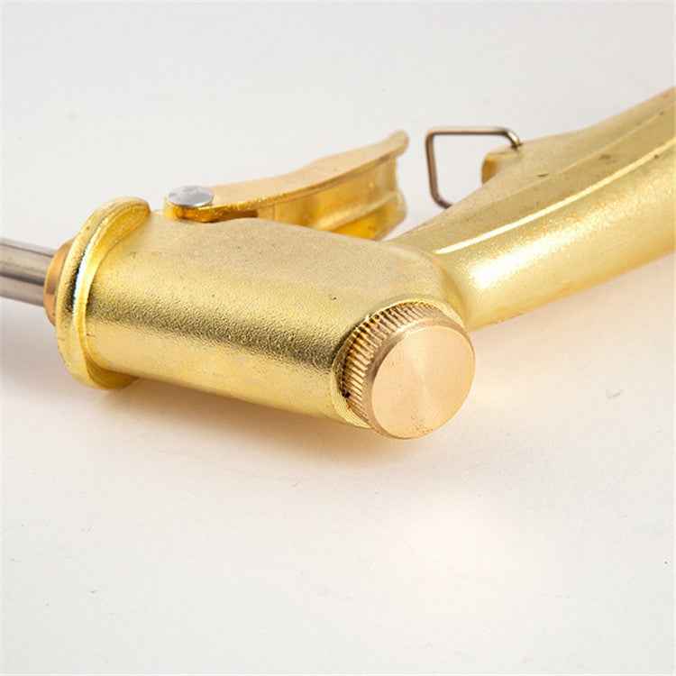 Electroplating Extension Rod Car Wash Water Gun Household Brush Car Gun Garden Watering Gun, Electroplating, Electroplating (Silver)