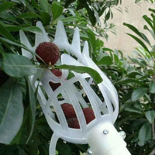 Plum Date Apricot Pick Fruit Plastic Tool, 20cm