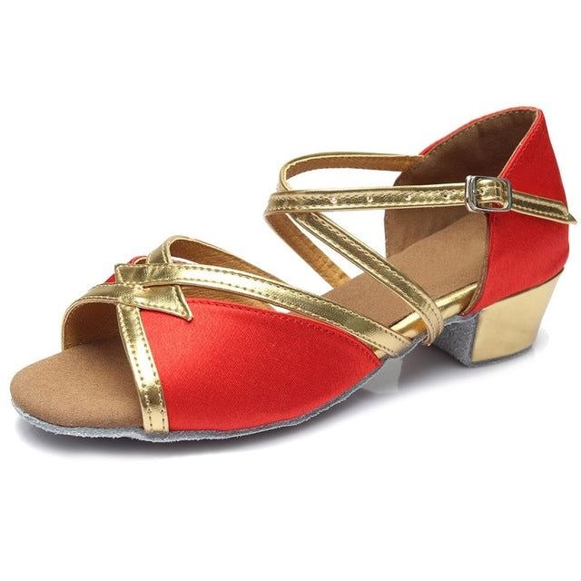 Tango Salsa Latin Low Heel Soft Bottom Dance Shoes for Girls & Women, 32, 33, 34, 35, 36, 37, 38, 40