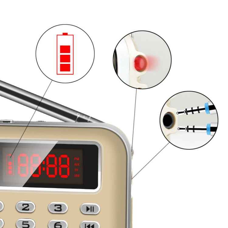 Y-619  FM/AM Mini Radio MP3 Rechargeable Music Player Support TF/SD Card with LED Display, Red, Gold, Blue, Black