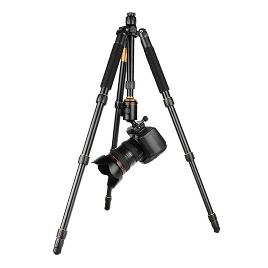 QingZhuangShiDai Q666 Portable Travel SLR Camera Aluminum Magnesium Alloy Tripod, Q666(Black)