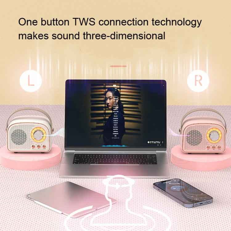 DW21 Vintage Radio BT Speaker Support TF Card/U Disk to Play