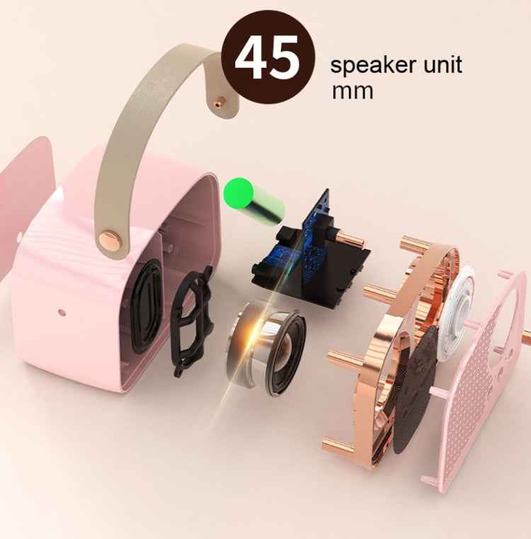 DW21 Vintage Radio BT Speaker Support TF Card/U Disk to Play