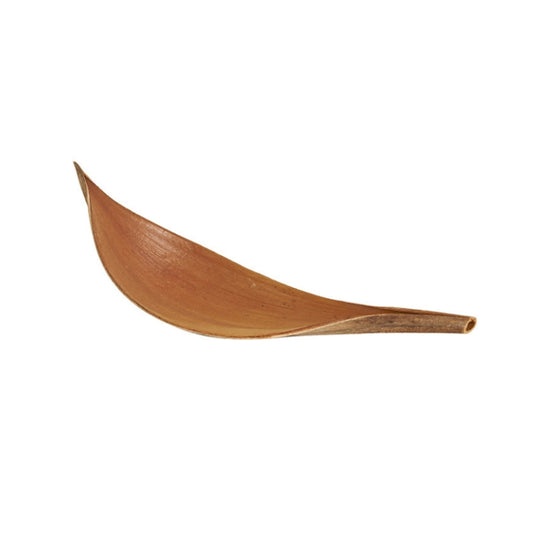 Cocoa Leaves Natural Plant Shooting Props Dry Flower Ornaments, 20-32 cm, 35-39 cm