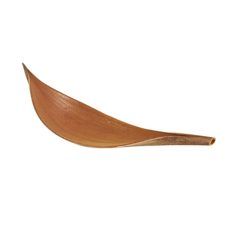 Cocoa Leaves Natural Plant Shooting Props Dry Flower Ornaments, 20-32 cm, 35-39 cm
