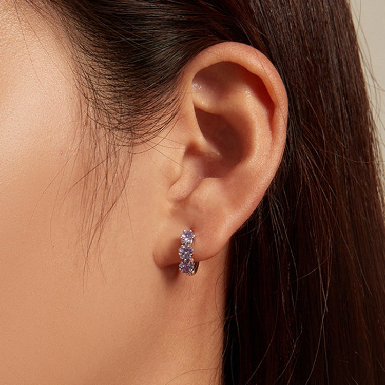 SCE1533 Purple Flower Vermiculite Ear Buckle 925 Silver Earrings