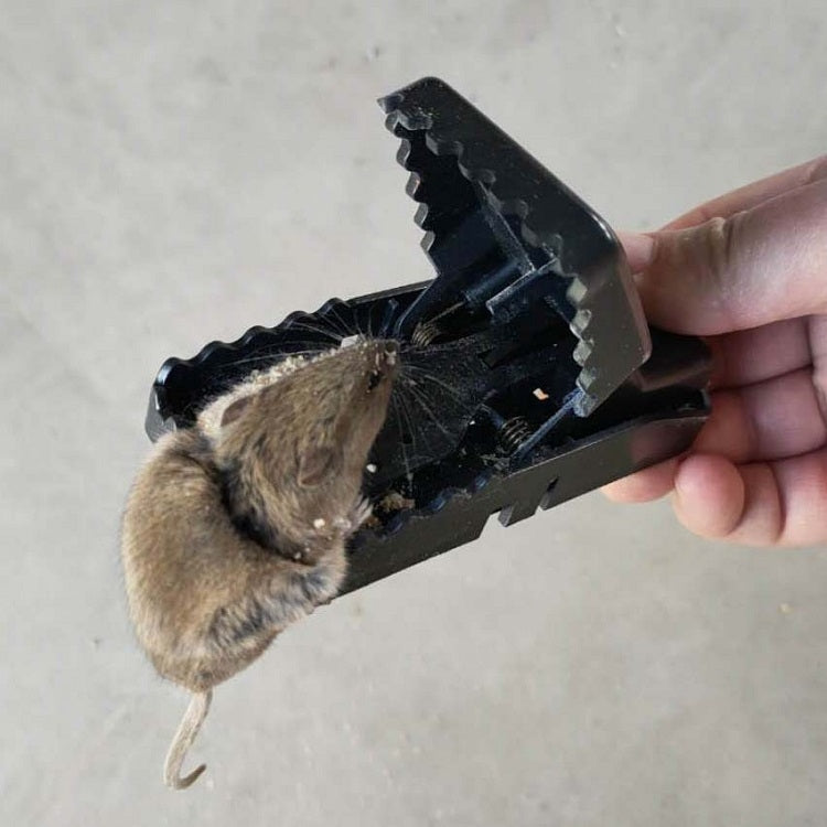 Highly Sensitive Bite Type Household Alloy Plastic Mouse Traps, Medium