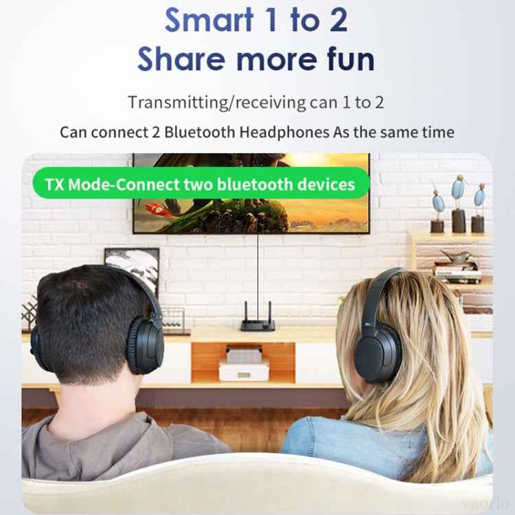 B39 2 In 1 Bluetooth 5.3AUX Music Receiver TV Computer Adapter