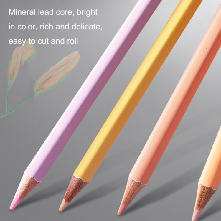 36 Colors Oily Bright Color Pencil Studio Special Set, 36 Colors Classic Model
