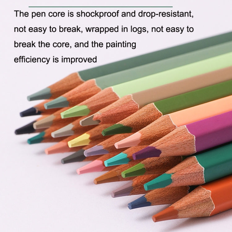 36 Colors Oily Bright Color Pencil Studio Special Set, 36 Colors Classic Model