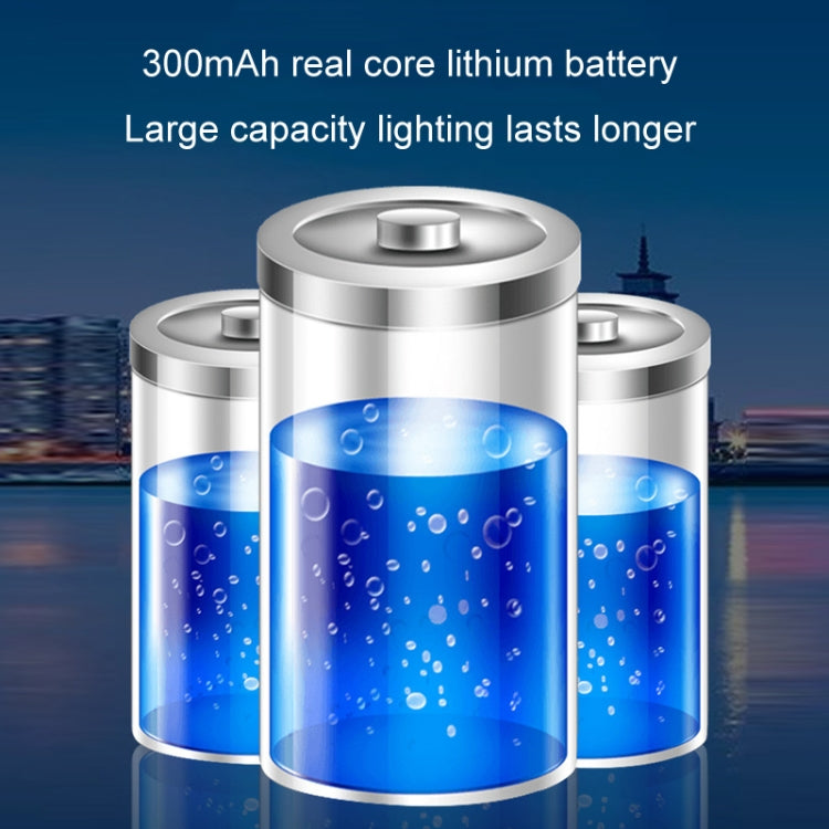 Outdoor Solar LED Dual Light Source Ground Plug Light