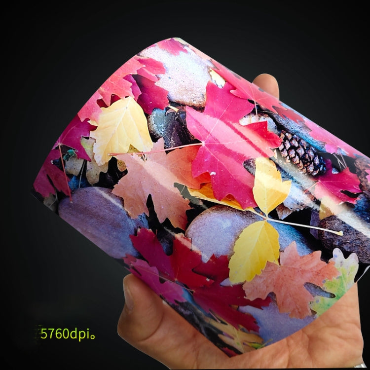 260g Waterproof RC Photo Paper for Brother/Epson/Lenovo/HP/Canon Inkjet Printers, 6 Inch 50 Sheets, 5 -inch 50 Sheets, 7 -inch 50 Sheets, A5 50 Sheets, A4 20 Sheets, A3 20 Sheets, A3+ 20 Sheets