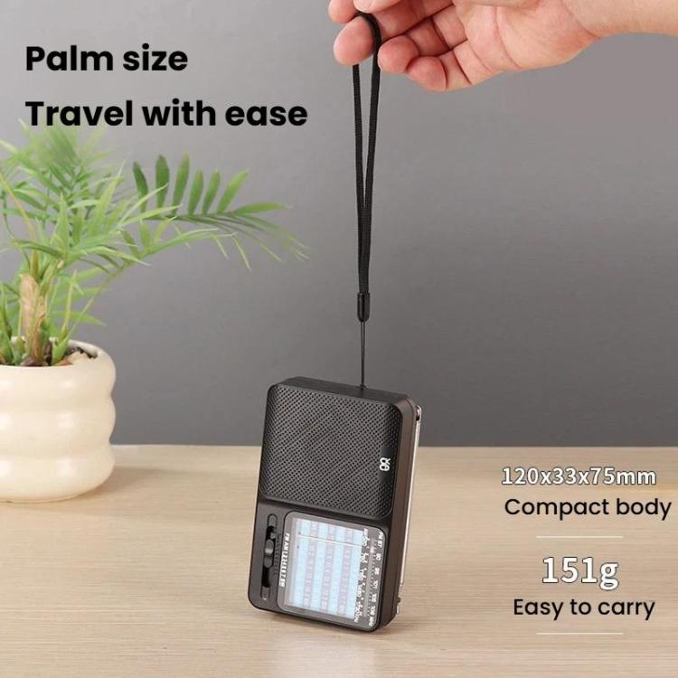 W-913 Portable Pointer Dual-Power Radio FM/AM/SW1-7 Multi-Band Radio