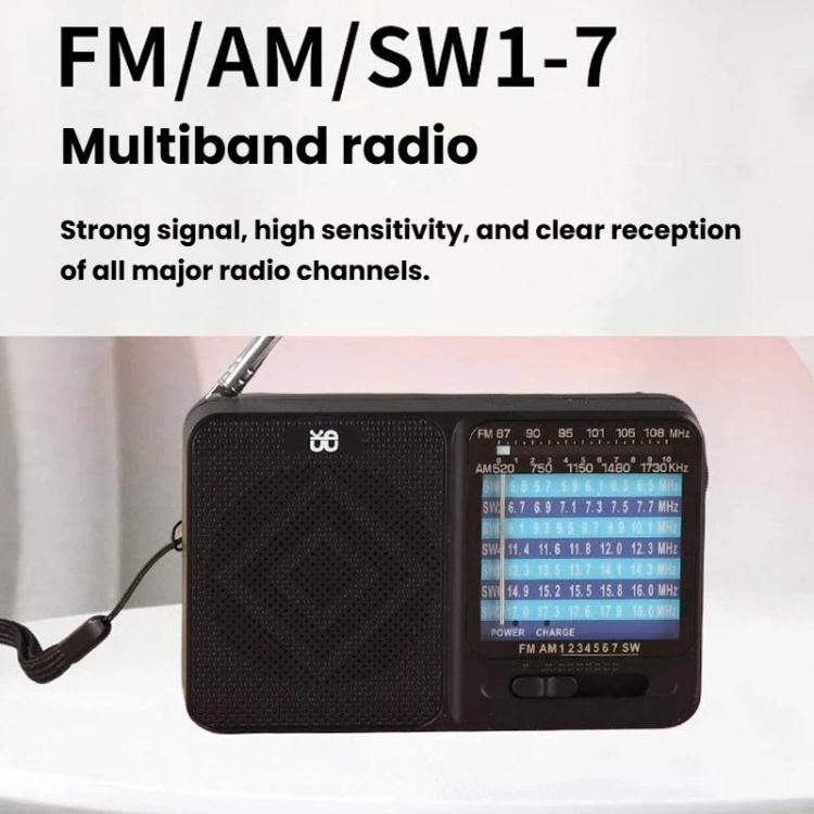 W-913 Portable Pointer Dual-Power Radio FM/AM/SW1-7 Multi-Band Radio