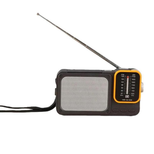 W-916 Portable Pointer Radio With Reading Light FM/AM Dual-Band Radio