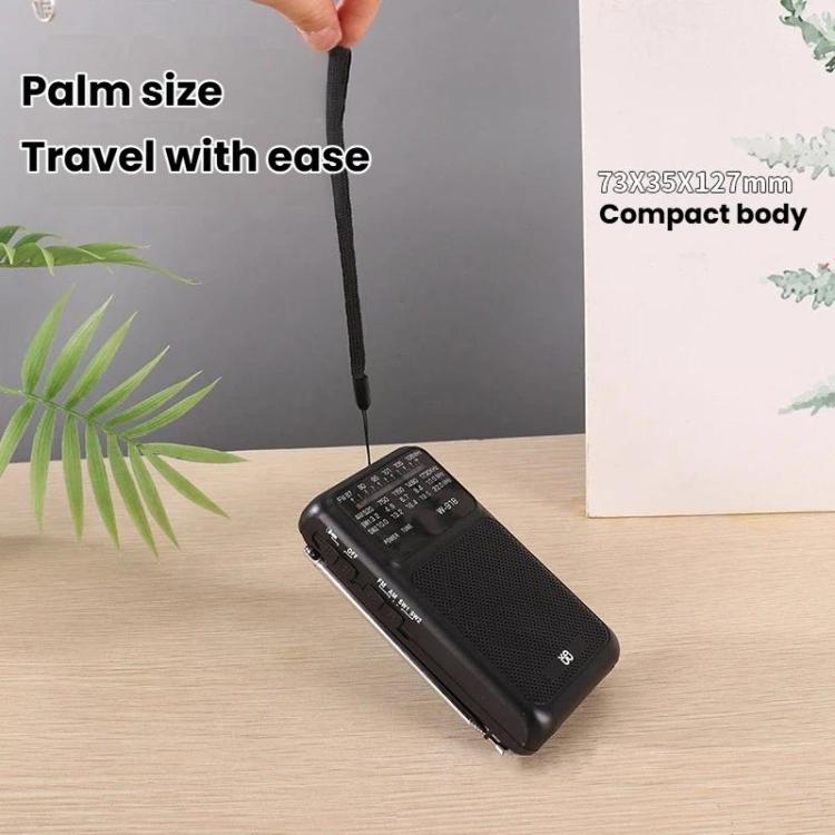 W-918 Pointer Dual-Power Radio FM/AM/SW Full-Band Radio