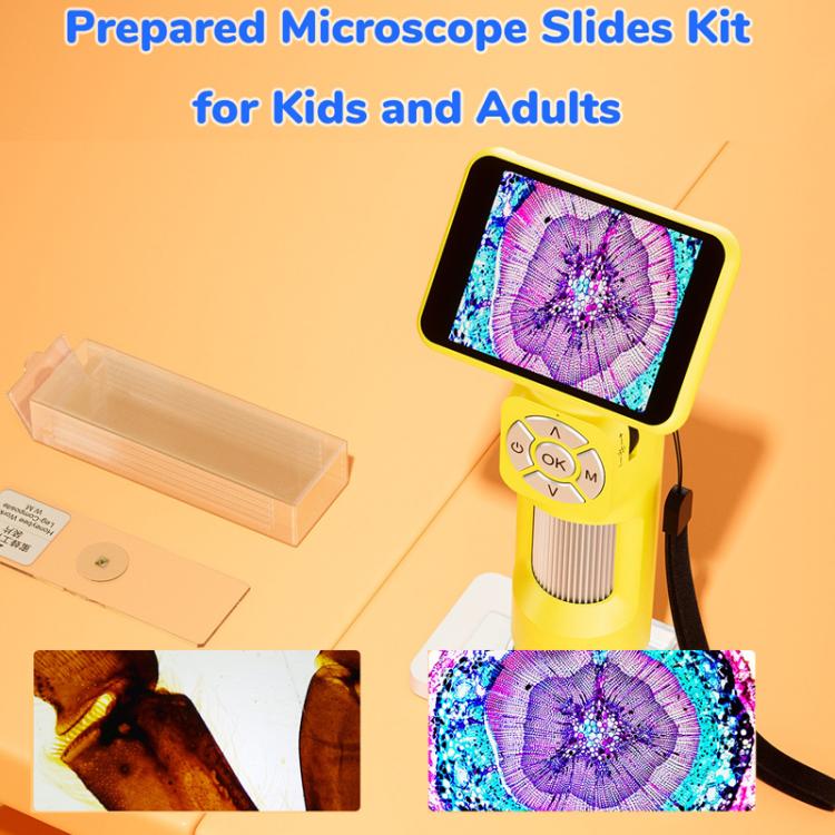 H113 Portable Handheld Digital Microscope Kids Microscope With LED Light