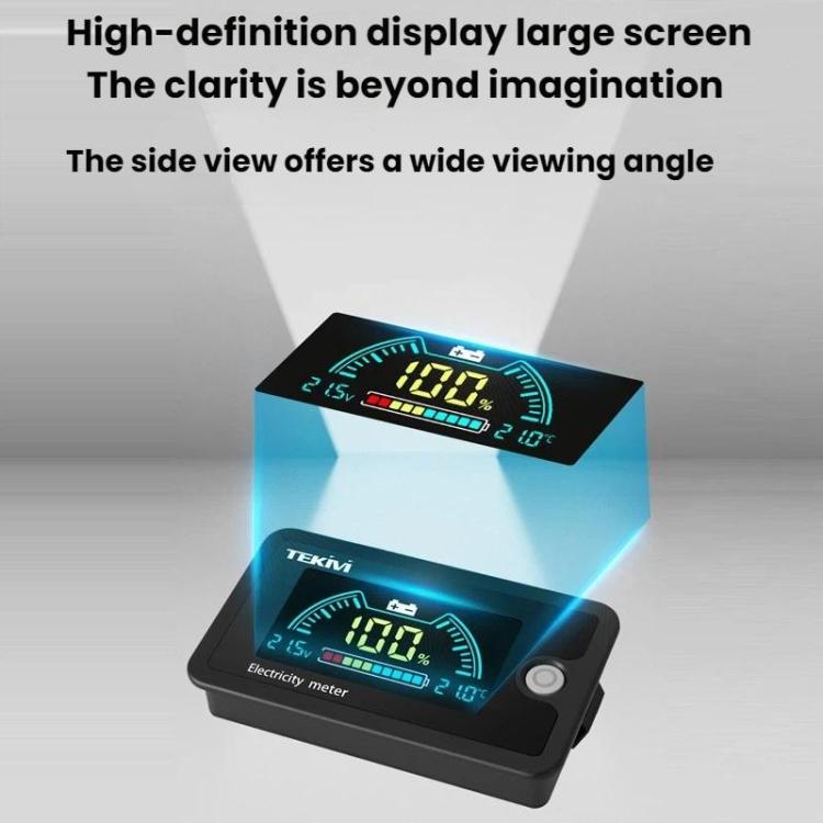 TEKM 8-100V Two-Wire Battery Power LCD Digital Display, Standard 6840D