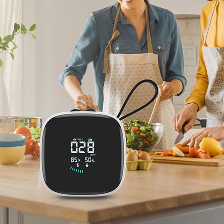 Mini PM2.5 Detector with Temperature & Humidity Monitor with Rechargeable Battery, Real-time LCD Display, DM1210A