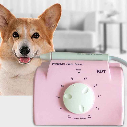 Ultrasonic Dental Washing Machine for Pet Dog Teeth Stone Remover, CN Plug, US Plug, UK Plug, EU Plug